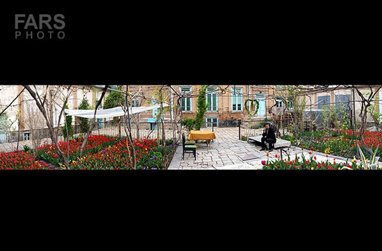 گزارش تصویری / باغ لاله ها / صادق اقدمی فرد، شهروند تبریزی، با پرورش انواع گل لاله، خانه قدیمی خود را در میان آپارتمان ها و برجهای قلب کلانشهر تبریز به باغ لاله با بیش از 30 هزار گل لاله تبدیل کرده است. 