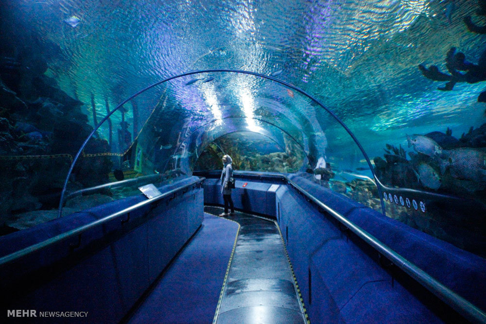 گزارش تصویری /  مناطق گردشگری مالزی / مالزی یکی از کشورهای آسیای شرقی است که از نظر قدمت تاریخی زیادی ندارد و پیشتر مستعمره انگلیس بوده است. اما پس از جدایی رشد چشمگیری کرده و از نظر گردشگری بسیار توسعه یافته تا جایی که اکنون به یکی ازکشورهای گردشگر پذیر دنیا تبدیل شده و پایتخت آن یعنی کوالالامپور مقصد بسیاری از گردشگران بخصوص ایرانیان است.​