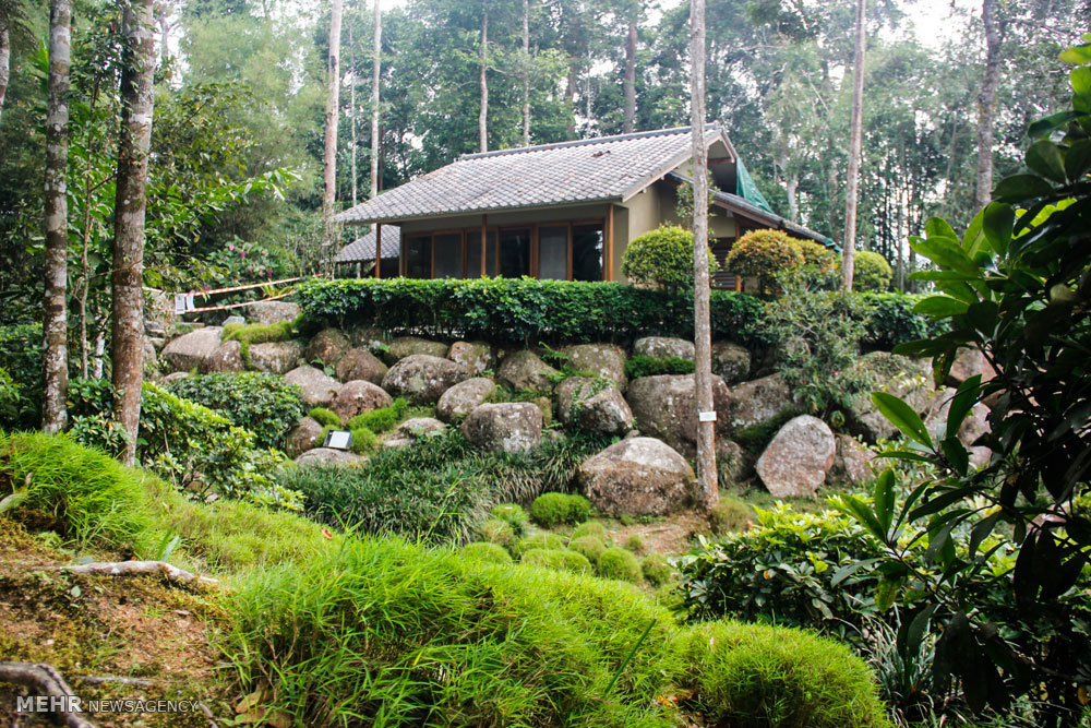 گزارش تصویری /  مناطق گردشگری مالزی / مالزی یکی از کشورهای آسیای شرقی است که از نظر قدمت تاریخی زیادی ندارد و پیشتر مستعمره انگلیس بوده است. اما پس از جدایی رشد چشمگیری کرده و از نظر گردشگری بسیار توسعه یافته تا جایی که اکنون به یکی ازکشورهای گردشگر پذیر دنیا تبدیل شده و پایتخت آن یعنی کوالالامپور مقصد بسیاری از گردشگران بخصوص ایرانیان است.​