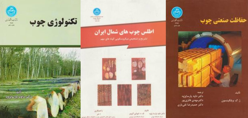 داود پارسا پژوه داود پارسا پژوه