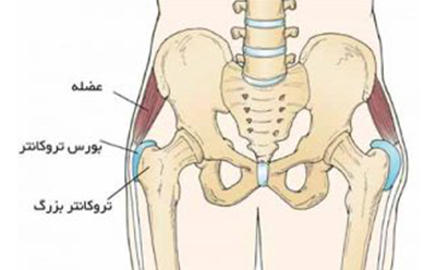 درد لگن در بارداری